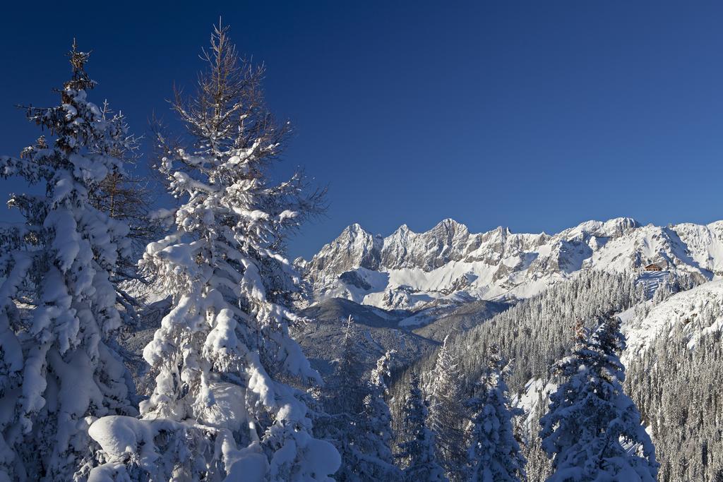 Alpenblick Apartments Рамзау Экстерьер фото