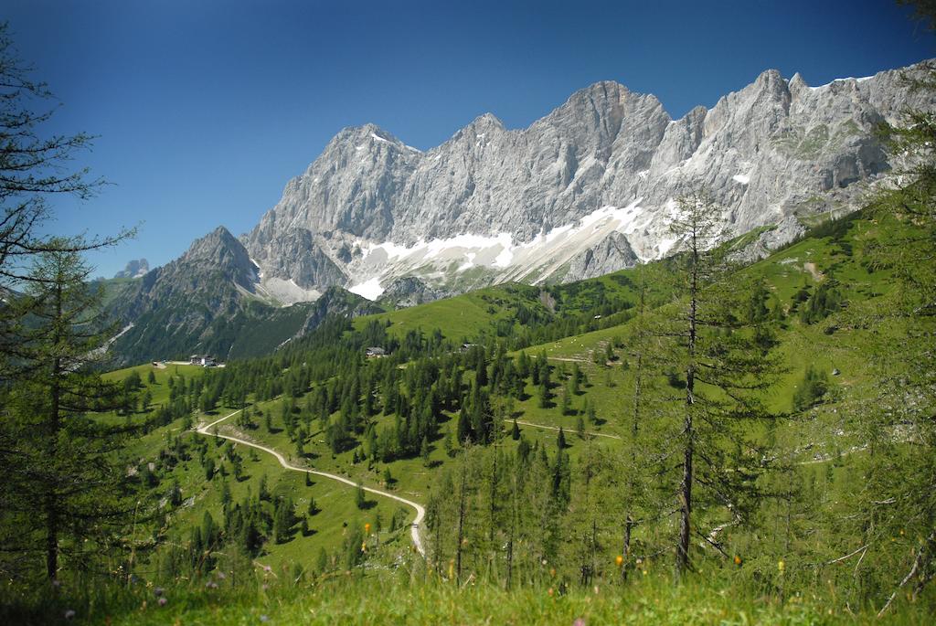Alpenblick Apartments Рамзау Экстерьер фото